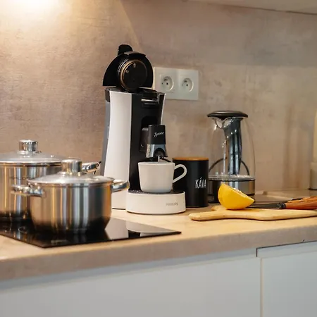 Wagnerstays 2bd Center Lejlighedshotel Prag